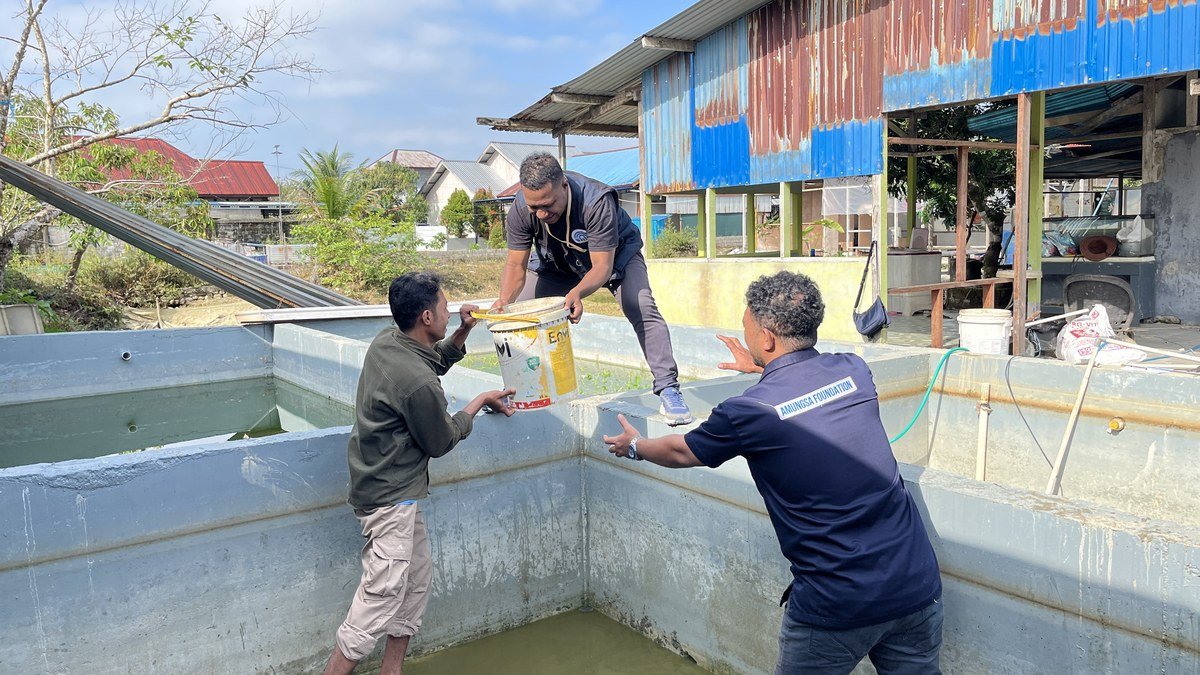 Pengangkutan lele segar dari kolam panen