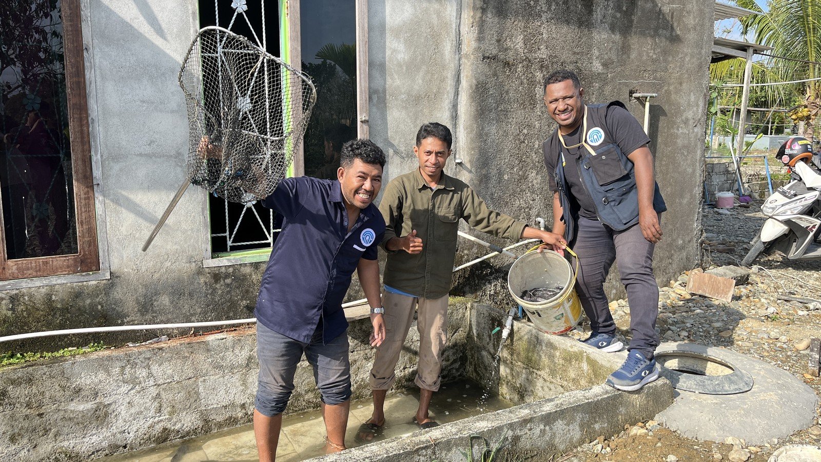 Petani Ikan Mimika Butuh Akses Pasar: Amungsa Salurkan Panen Lele Dinkes untuk Gizi Balita